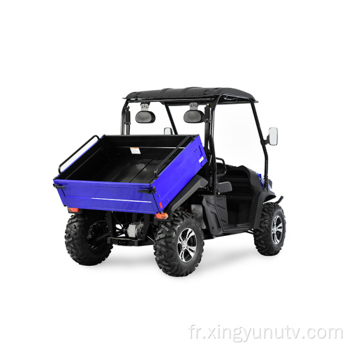 Style Jeep 400cc EFI UTV avec EPA Blue